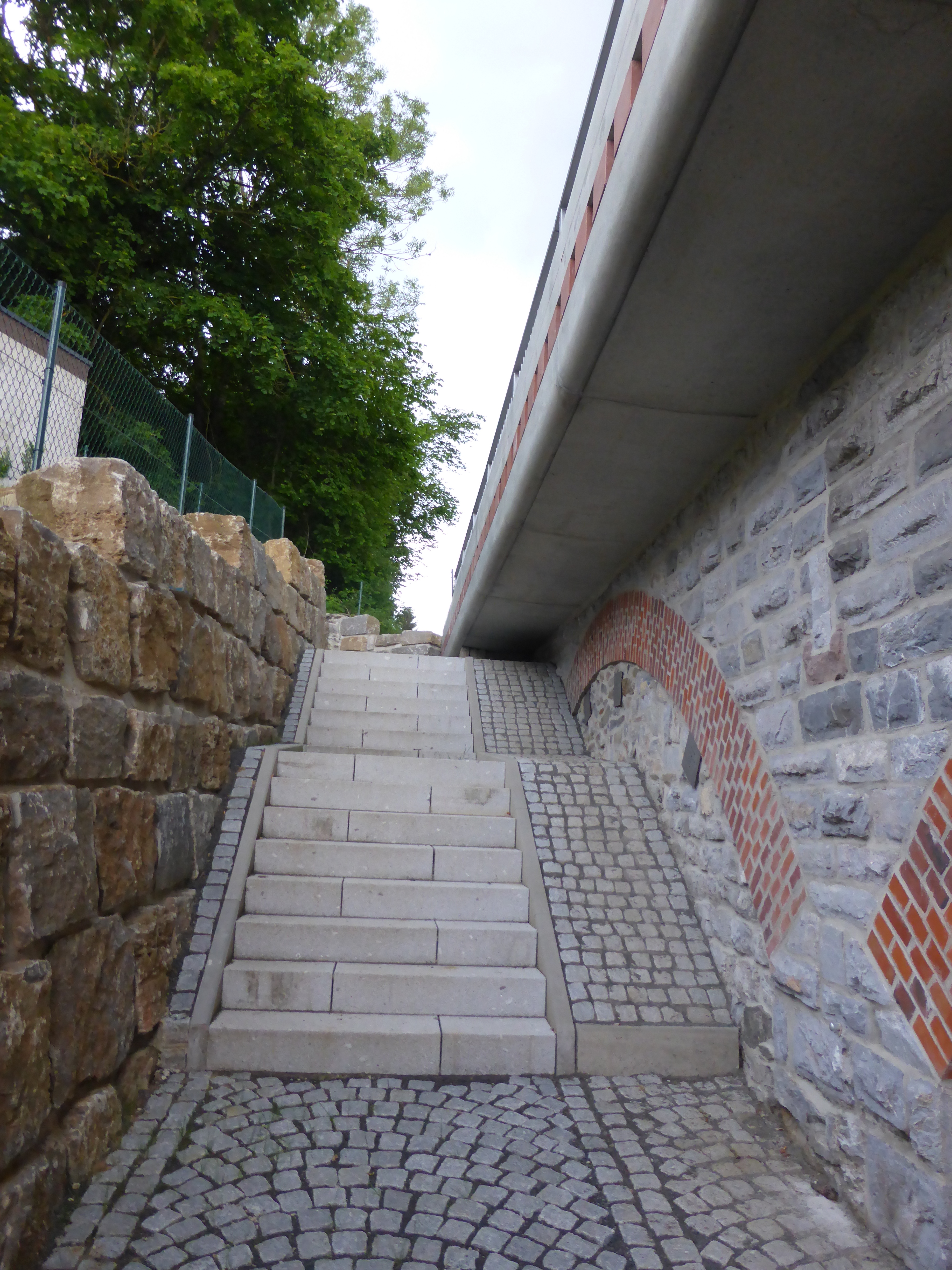 P1100866.JPG
